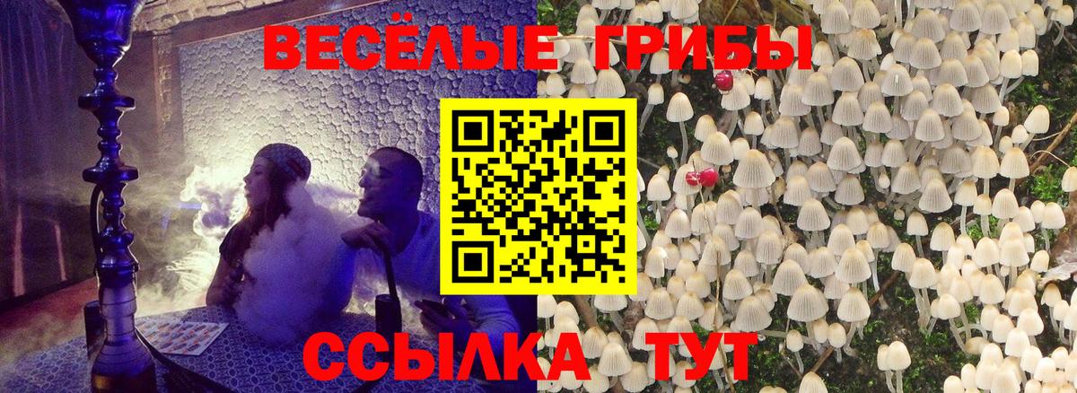 как найти закладки  Псилоцибиновые грибы Magic Shrooms  Вход с VPN  Псилоцибиновые грибы мицелий  Ачинск 